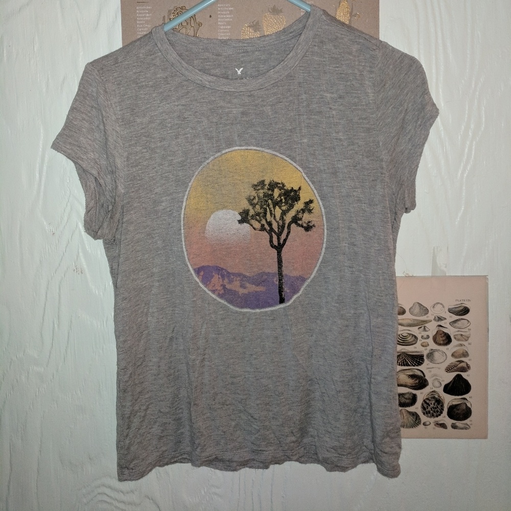 American Eagle Soft & Sexy T-shirt